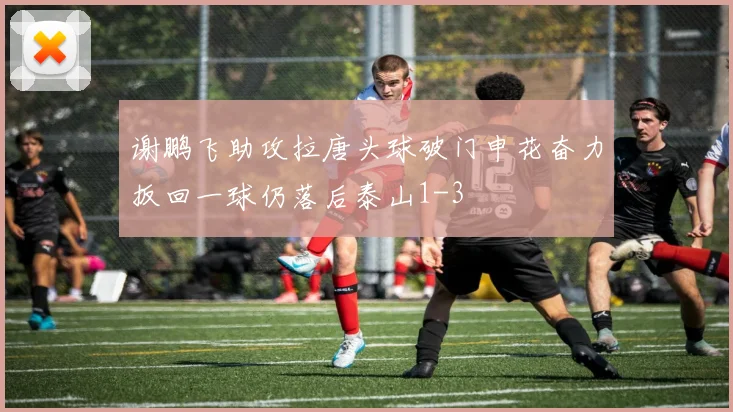 谢鹏飞助攻拉唐头球破门申花奋力扳回一球仍落后泰山1-3