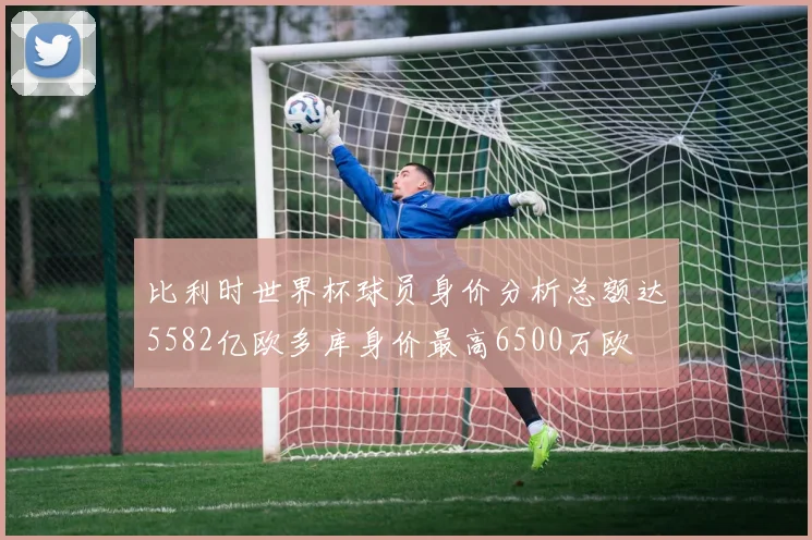 比利时世界杯球员身价分析总额达5582亿欧多库身价最高6500万欧